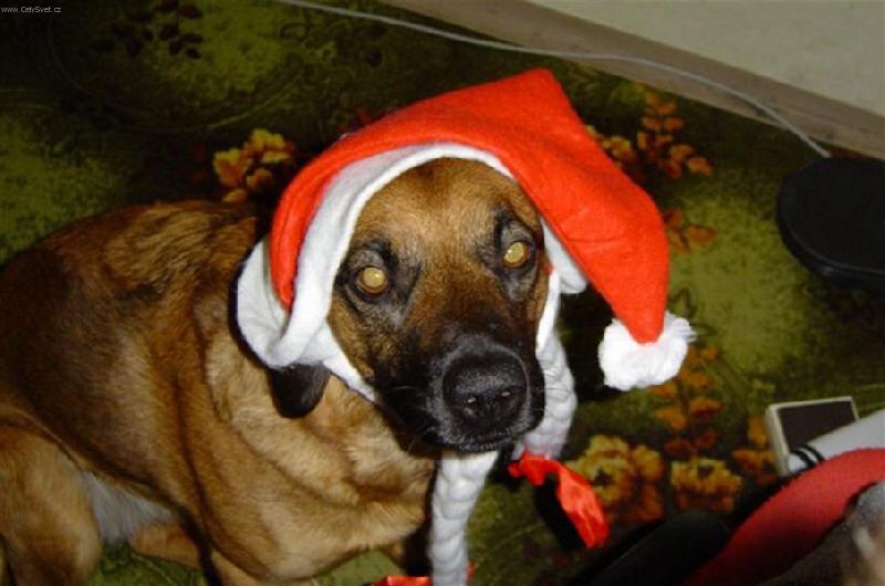 Foto: Sluší mi to?