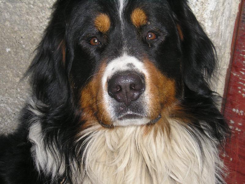 Foto: Náš maličký