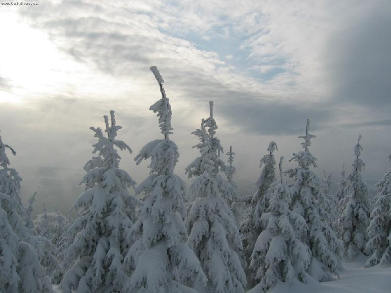 Foto: NA HŘEBENI KRKONOŠ-Trošku se ochladit...