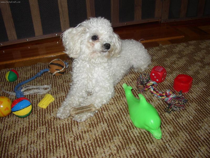 Foto: Pojďte si se mnou někdo hrát!-Zora a hračky