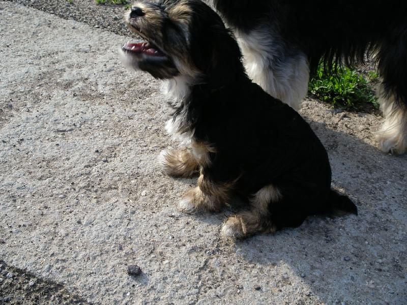 Foto: Benny-Ha Ha Ha-tak to byl pěknej vtip tati....(otec za Bennem)