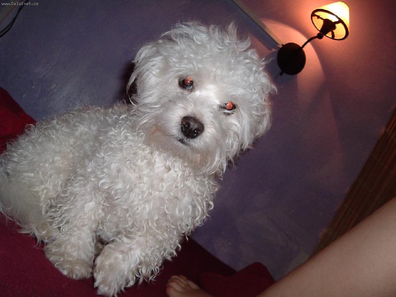 Foto: Tak to jsem j� Shon