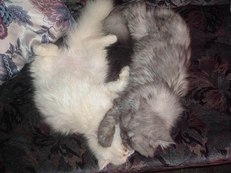 Foto: Očista-To je žúžo-hmmmm :-D