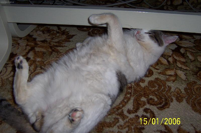 Foto: Macík-pohodář