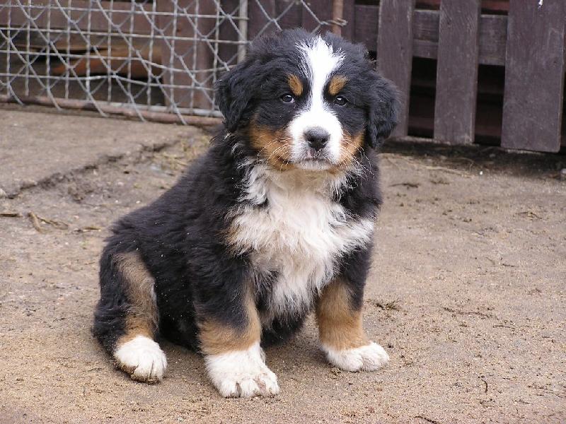 Foto: Moudrý pohled