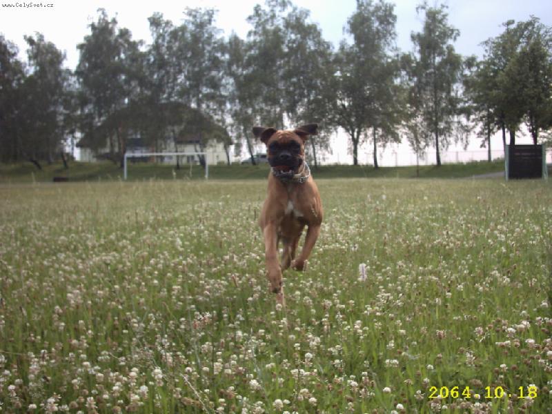 Foto: Na�e Ajla let� na Acanu.