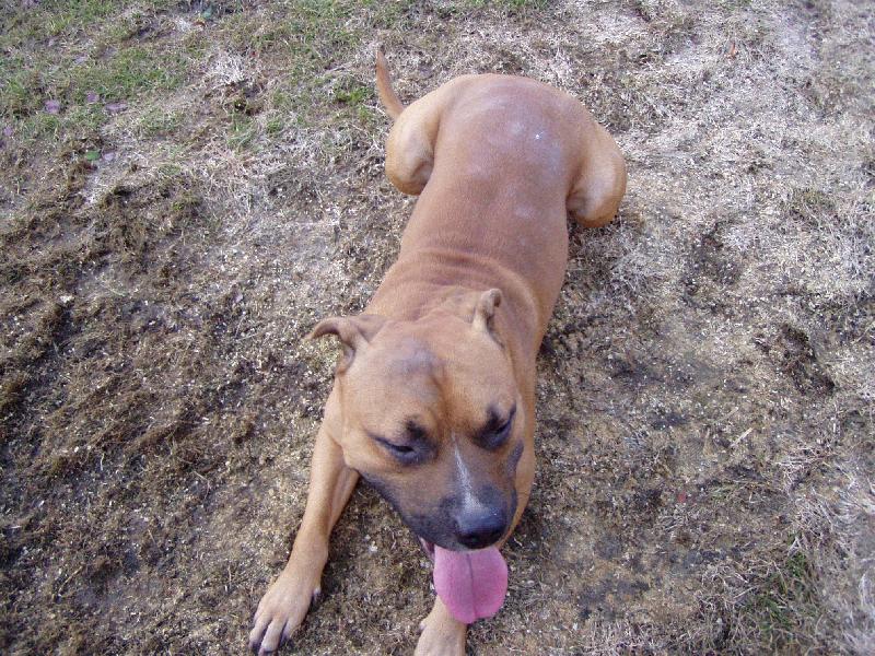 Foto: Podrbal jsem se na zádech