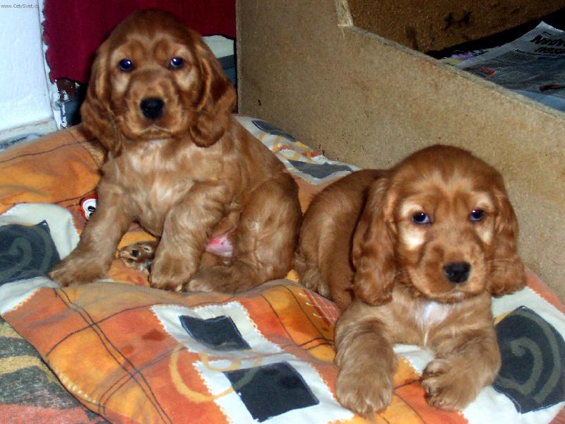 Foto: Naše holčička!-Ráda si lebedím..