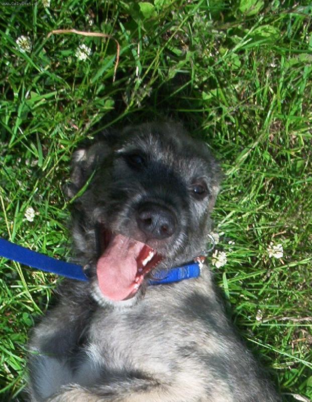 Foto: Ciprísek-ÚSMĚV PROSÍM