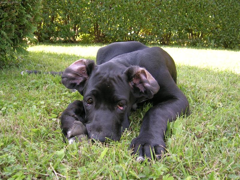 Foto: Větrám-Samuel - není sladkej?