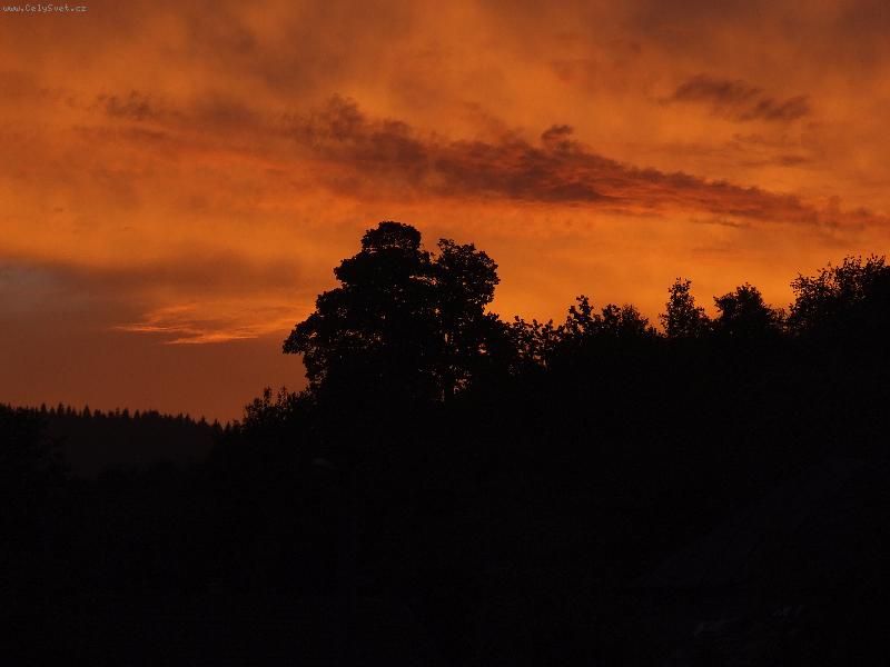 Foto: strom-Srom na východe