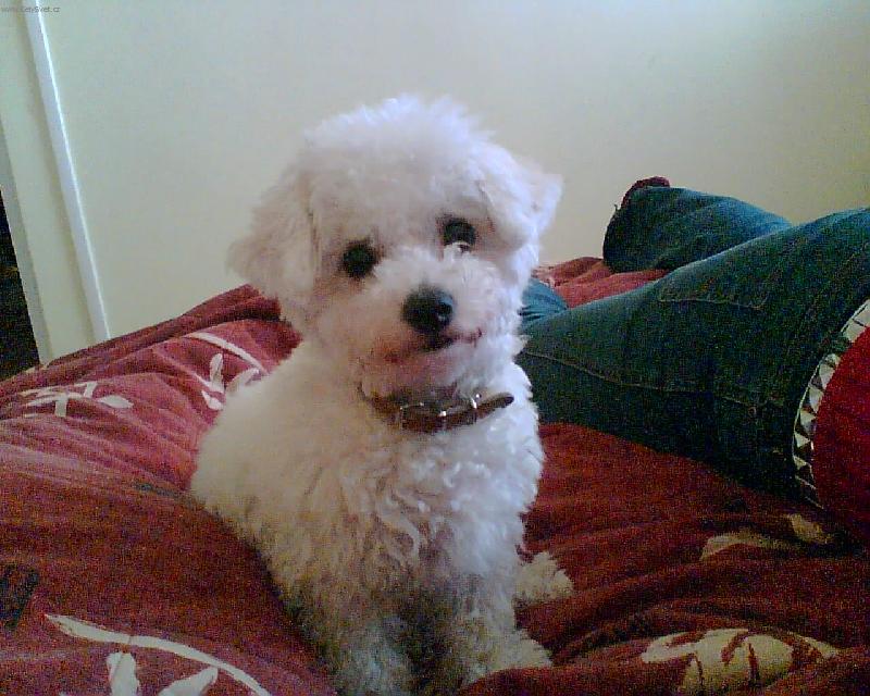 Foto: KUK!-Jeden pohled do objektivu.