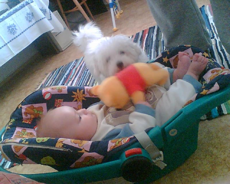 Foto: Čí je Pú?-Rychle vzít medvěda Filípkovi a pryč!