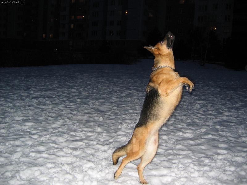 Foto: Naša Kača-Chtěla bych lítat