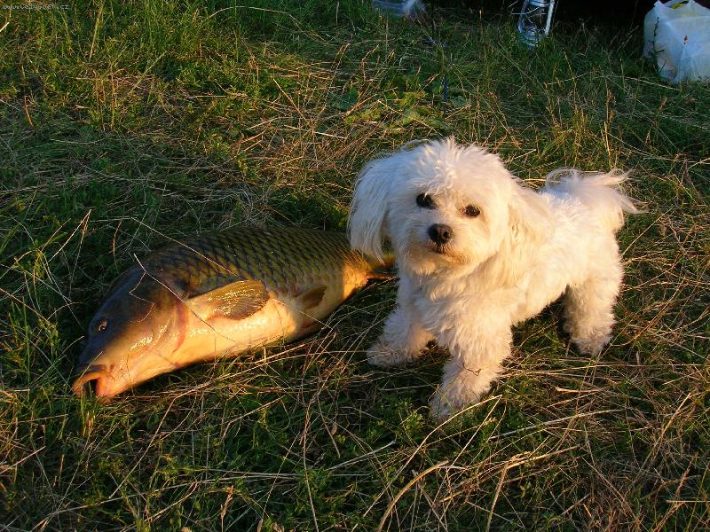 Foto: Ja mám 3kg,kapřík 9kg...