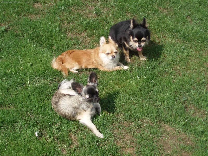 Foto: naši miláčci