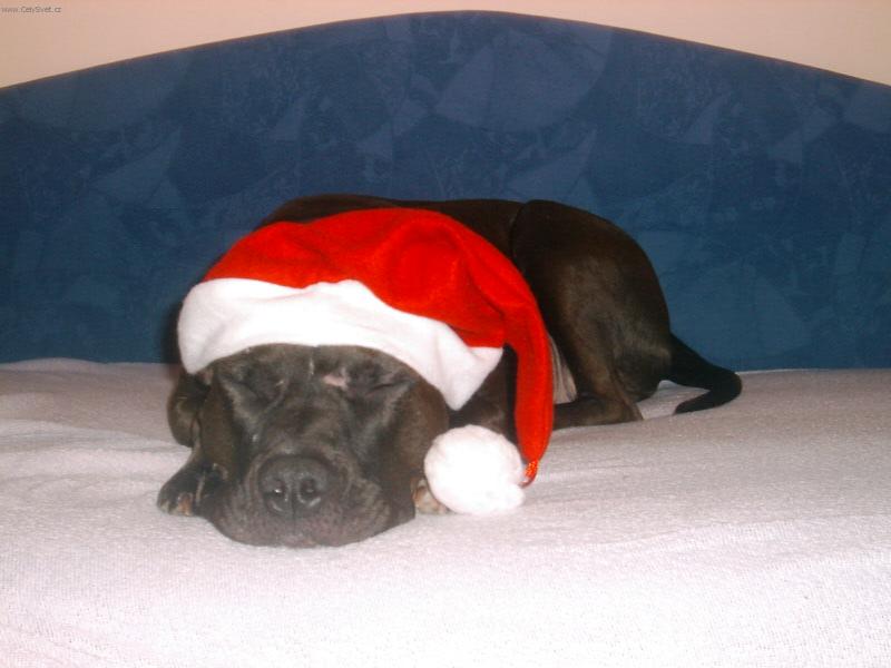 Foto: naomi-nerušit snim o darcich