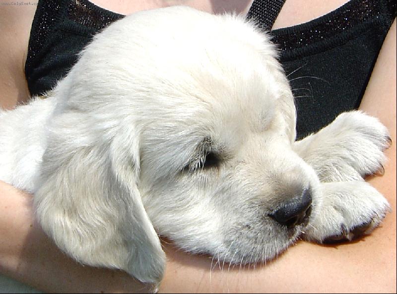 Foto: Bronwynka-Tady je mi nejlíp :o)