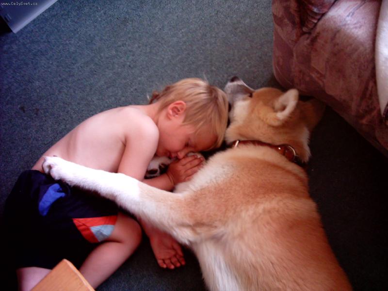 Foto: Doši hlídá nejmladšího-ty jsi muj plyšáček?