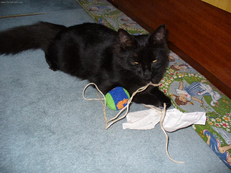 Foto: Mikešek-A teď jdu spát !