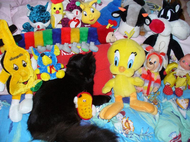 Foto: Mikešek-Uhlídáme tě, neboj !