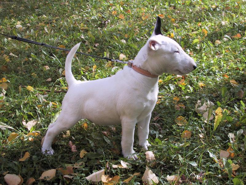 Foto: Malý bojovník-:-)