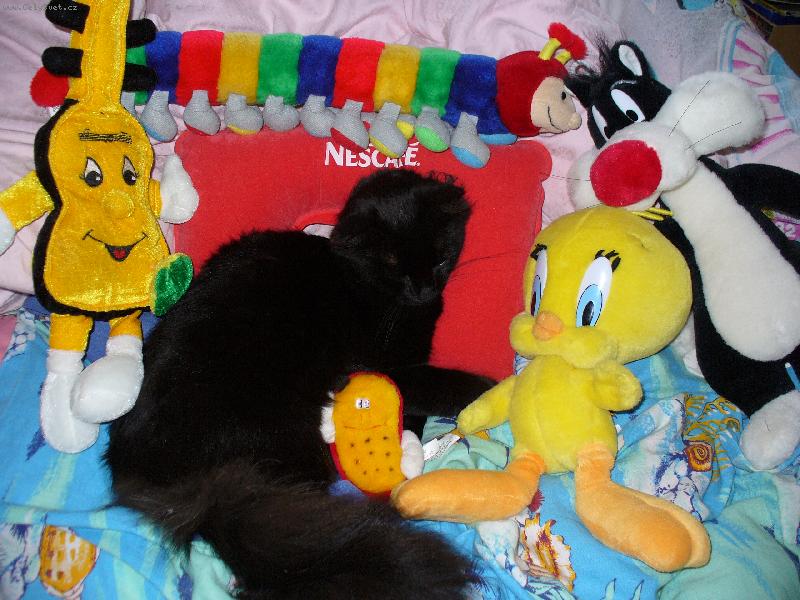 Foto: Mikeš-Chrupka po kafíčku.