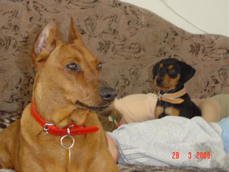 Foto: Červená a černý-V posteli je to stejně nejlepší!