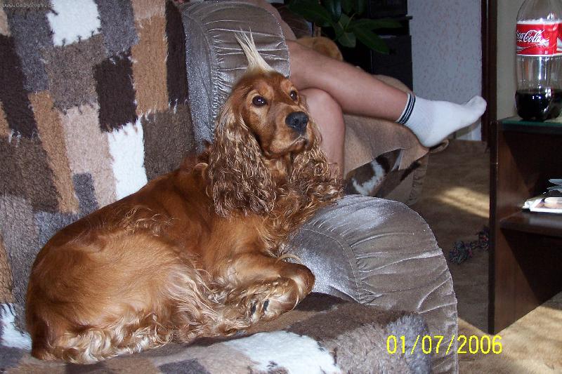 Foto: Jim-Jak mi to sluší?