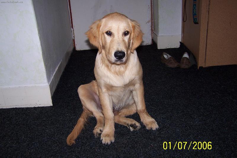 Foto: Falco-Tak už mě vyfoť