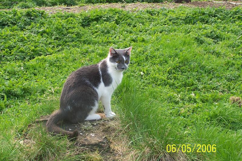 Foto: Bambulka-Tak kde je ta myš