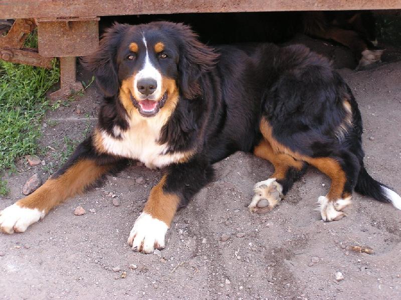 Foto: Audinka-půl roku