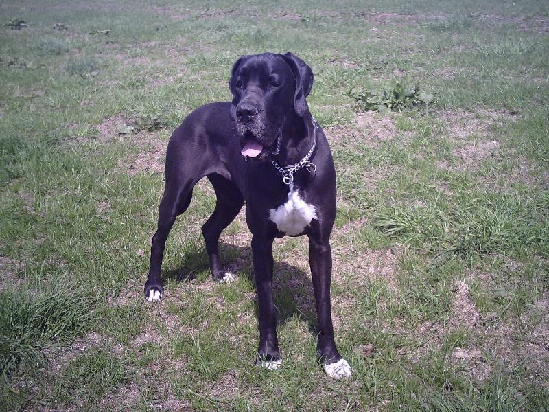 Foto: Moje Caramelka-Caramelka na procházce