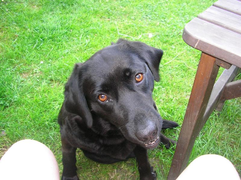 Foto: Elynka-To je první fotka která s emi tak nádherně povedla je to anše Elynka