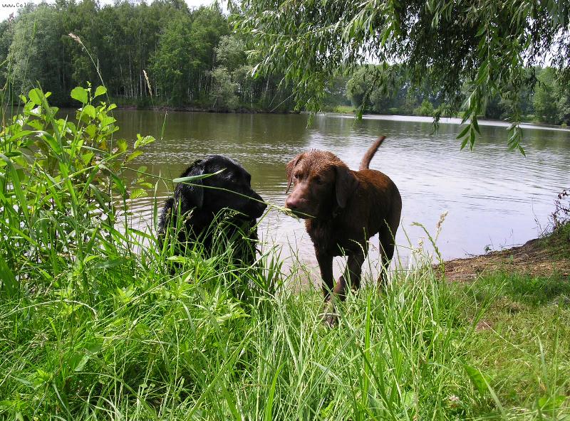 Foto: romantická schůzka ve dvou