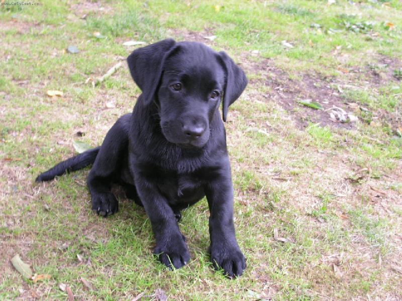 Foto: Malá smutná slečna