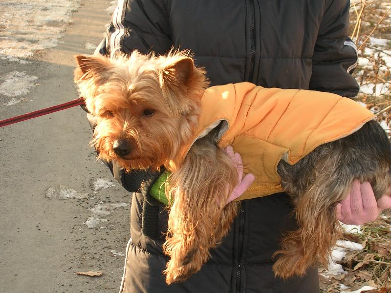 Foto: To se nesu-Žolík