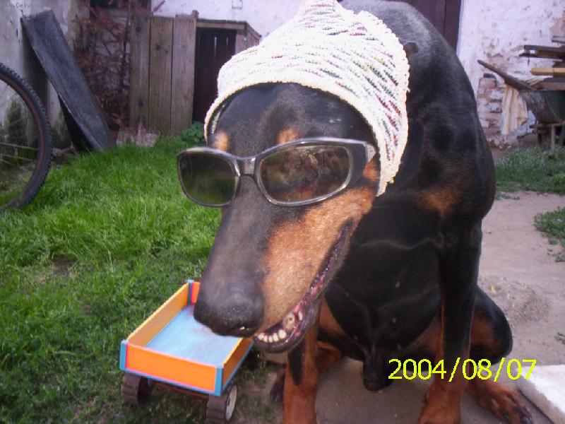 Foto: to je ale frája co???