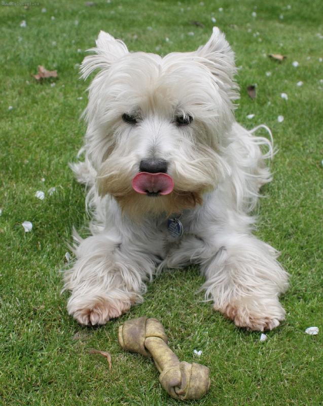 Foto: NAŠE AMÁLKA :)