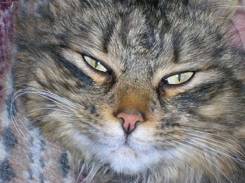 Foto: Podívej se mi do očí