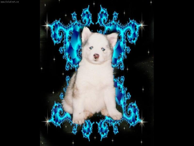 Foto: Akela-Fantasy v nekonečnu