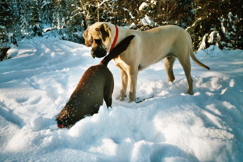 Foto: Co to tam má?-Terezka a Wendy