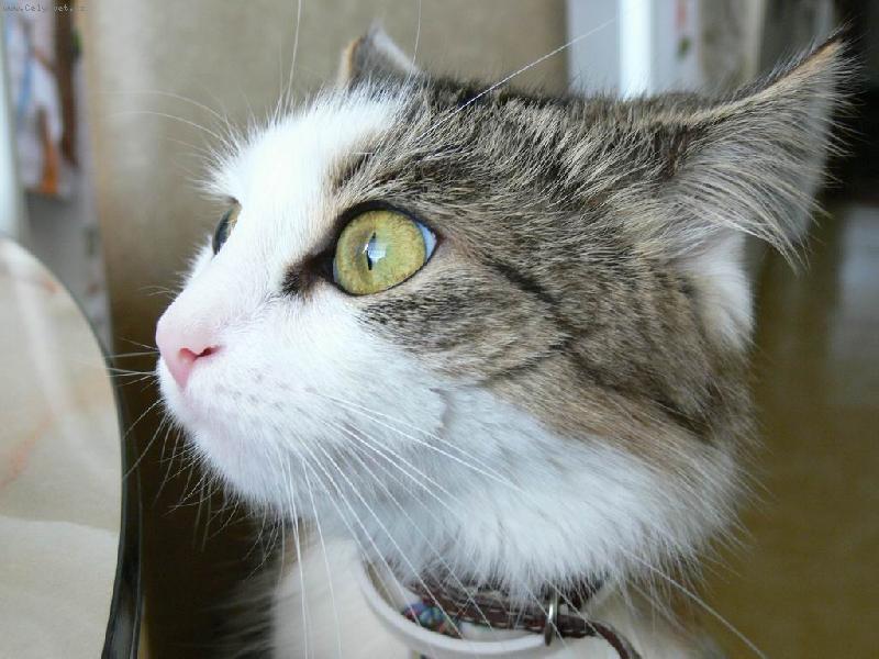 Foto: Přemýšlení