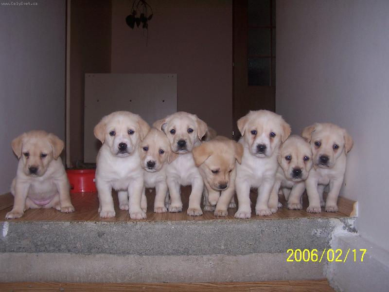 Foto: Naše sluníčka