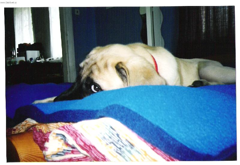 Foto: ..já se stydím!-Terezka v 11týdnech