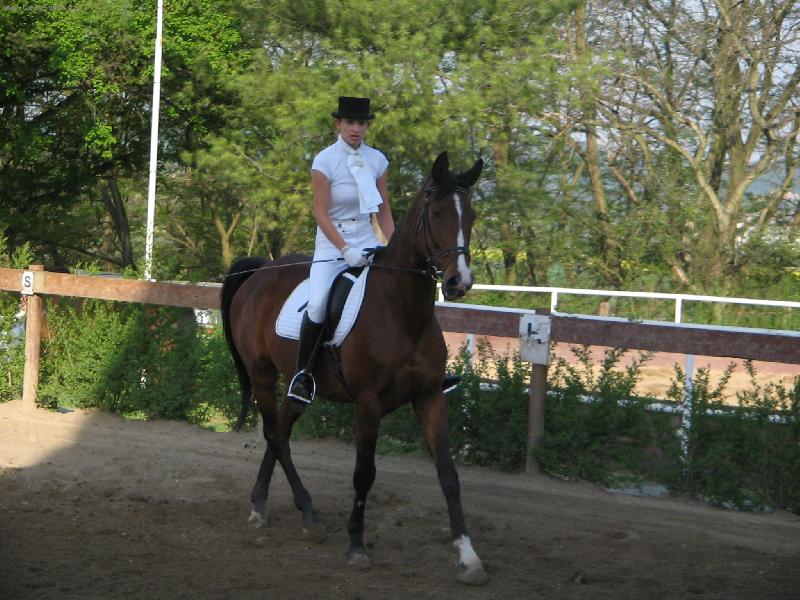 Foto: Aramis-Můj nemilovanější kůň