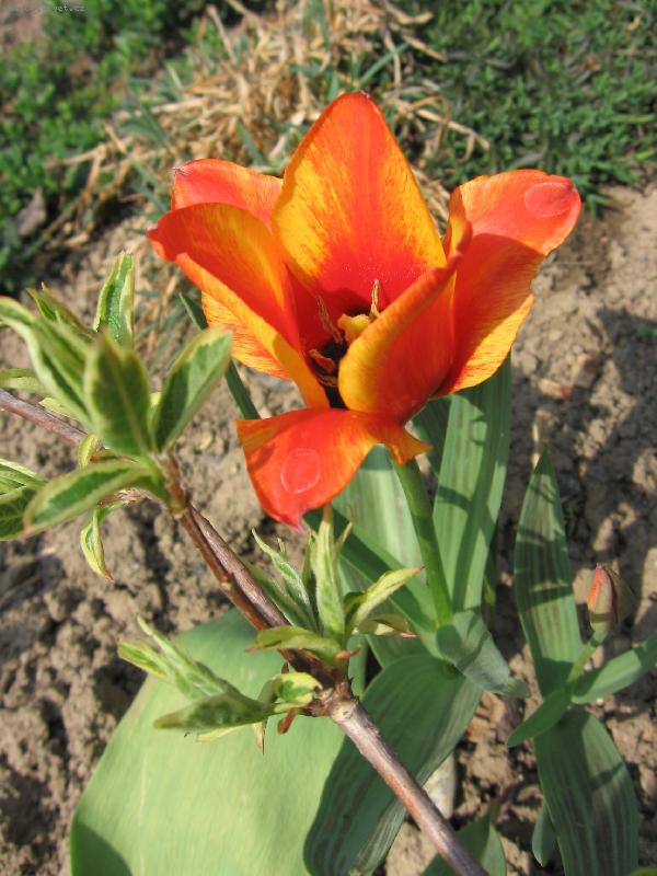 Foto: a jaro přišlo...