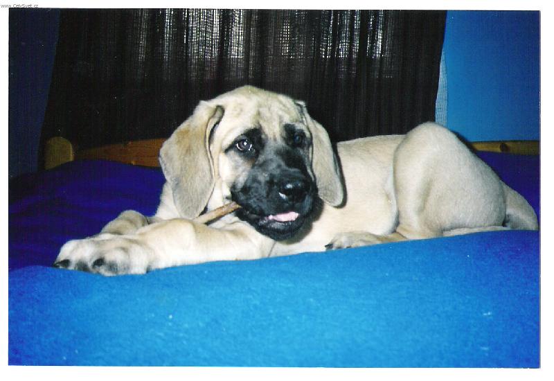 Foto: Terezka-11týdnů