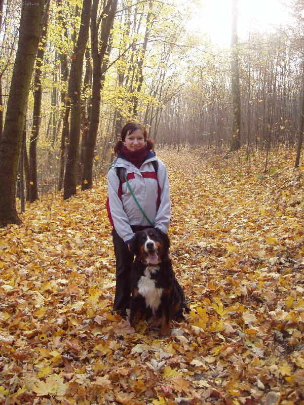 Foto: Podzimní procházka