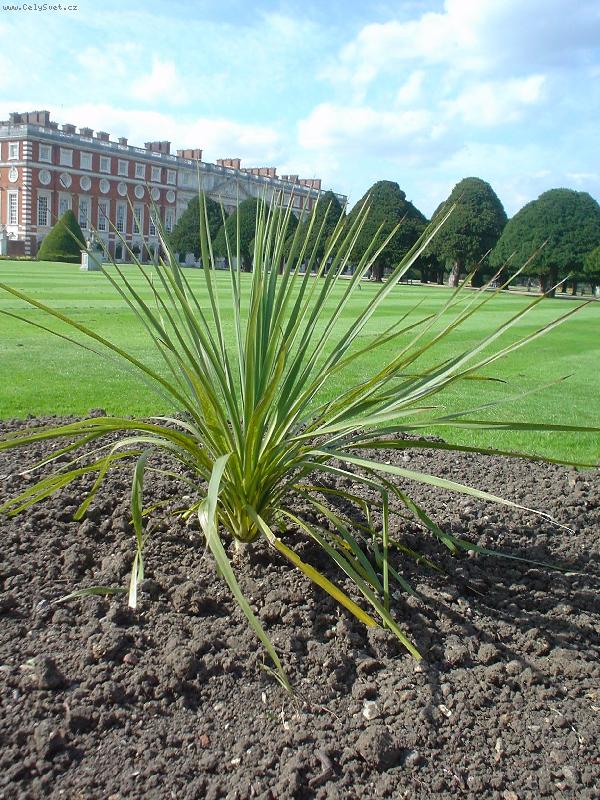 Foto: zahrady zámku Hampton-zahredy zámku Hampton